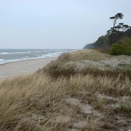 Dom W Rusinowie Dom wakacyjny