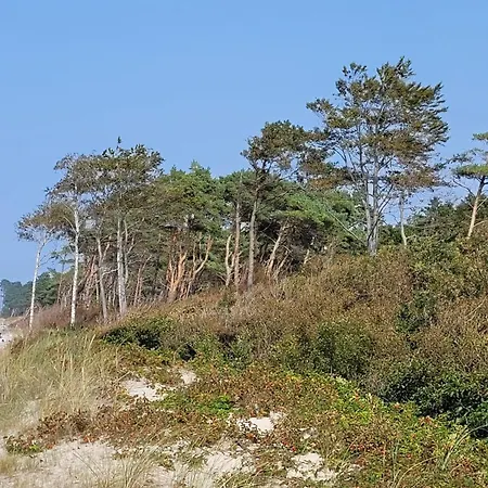 Holiday home Dom W Rusinowie Rusinowo (Slawno)