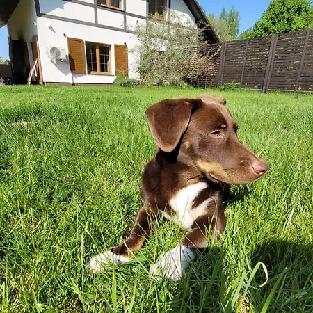 Dom W Rusinowie Dom wakacyjny