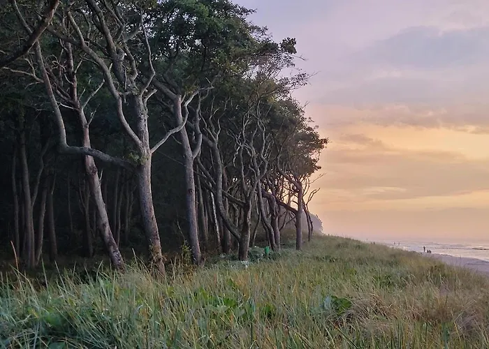 Semesterbostad Dom W Rusinowie *