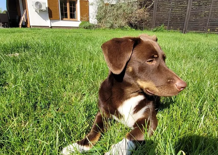 Dom W Rusinowie Semesterbostad